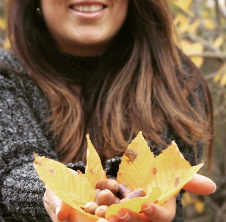 Meşe palamudu ekimi