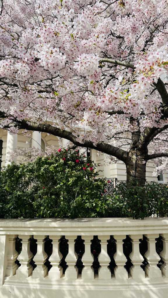 Notting Hill Gezilecek Yerler