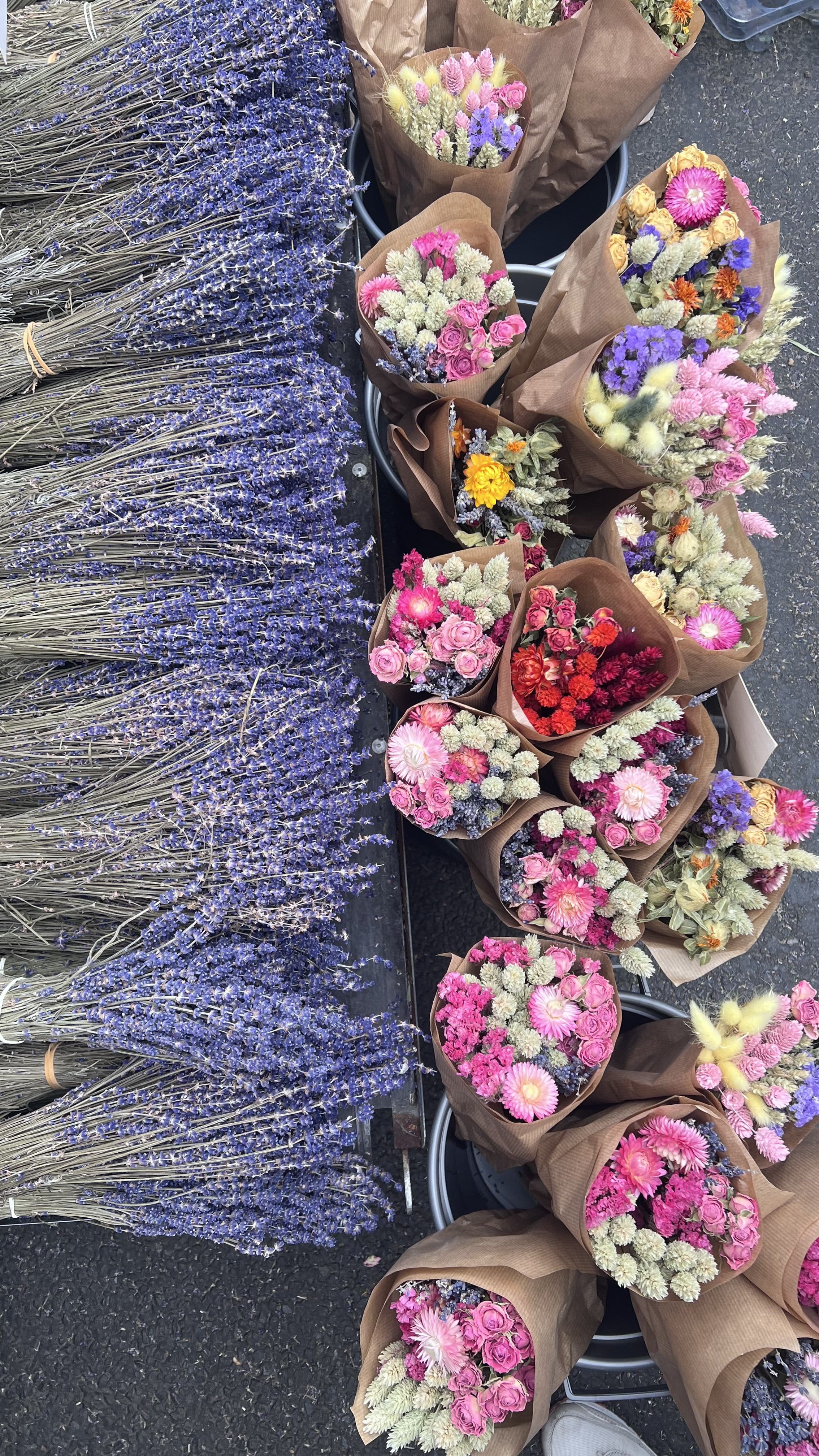 Columbia Road Flower Market: Londra’da Bir Pazar Aktivitesi