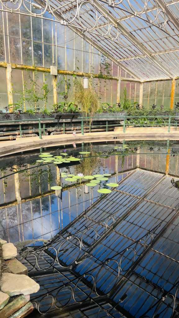 Kew Gardens - Waterlily House