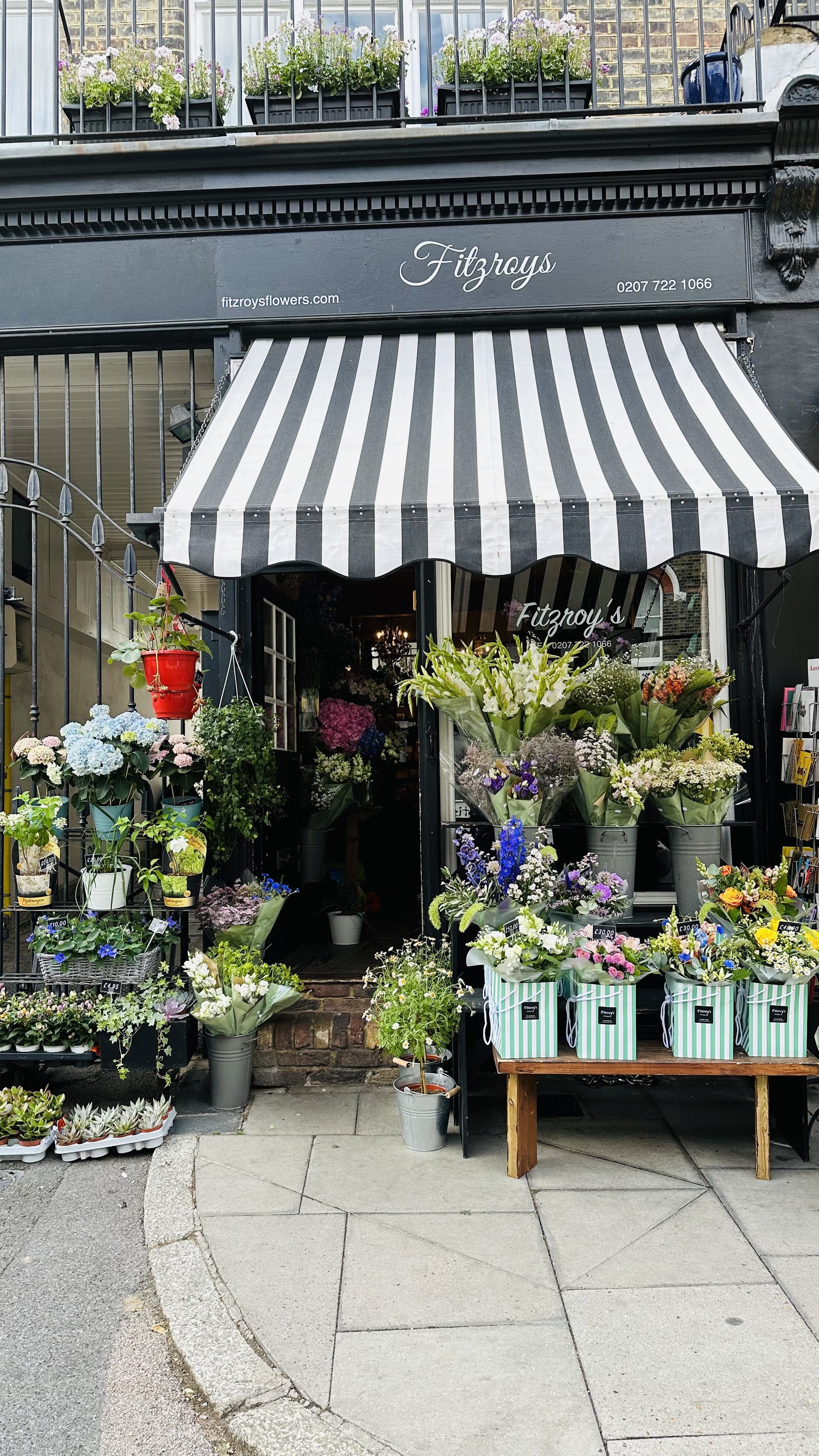 Camden – Primrose Hill Yürüyüşü