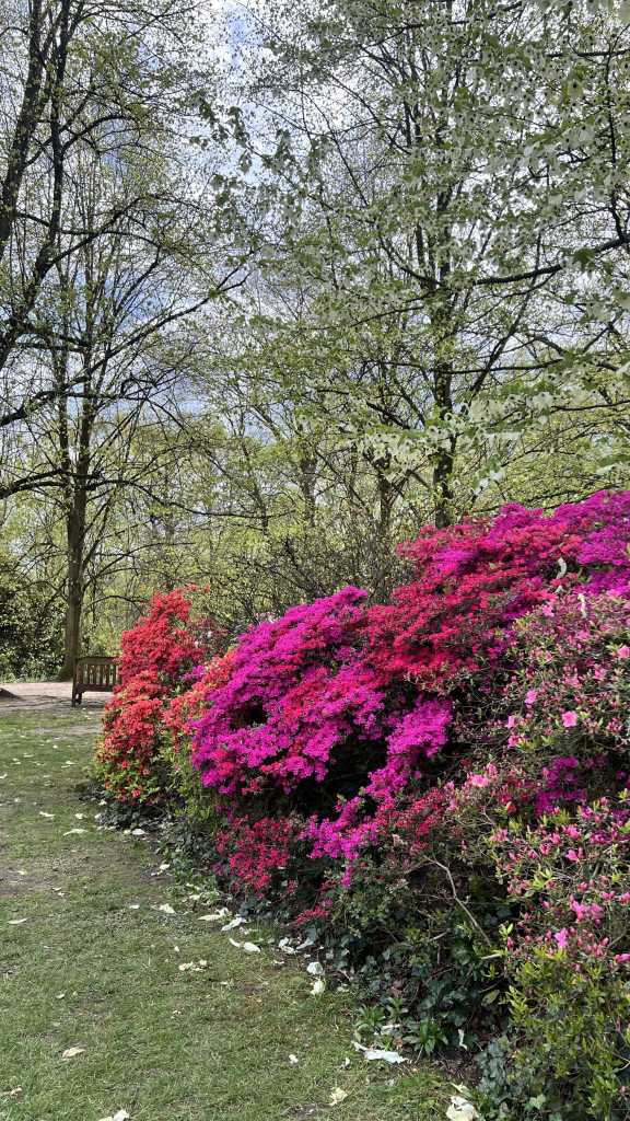Gönüllü Çalışmak - Kenwood House