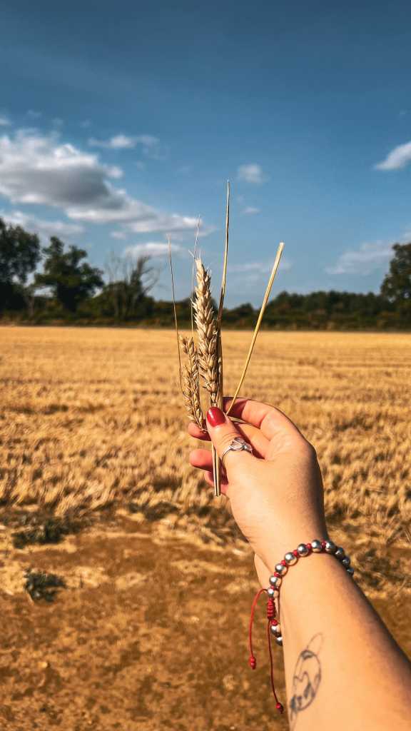 Cotswolds - Mini Yürüyüş Rotası