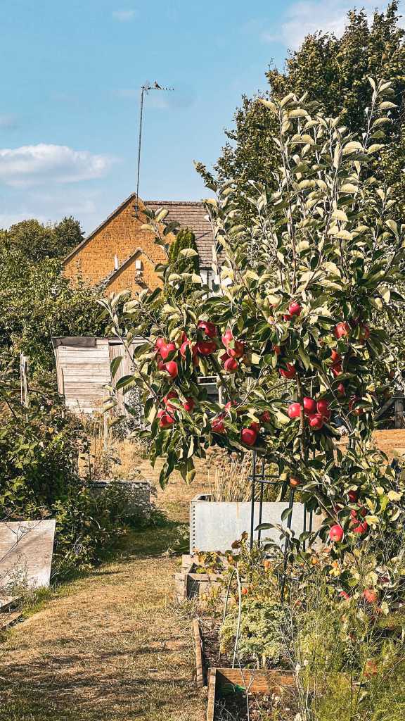 Cotswolds - Mini Yürüyüş Rotası