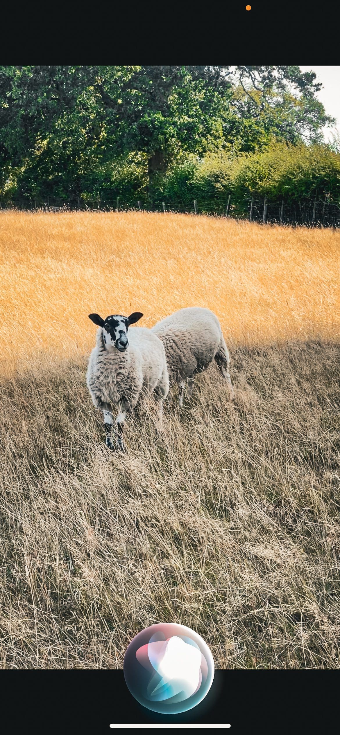 Cotswolds – Mini Yürüyüş Rotası