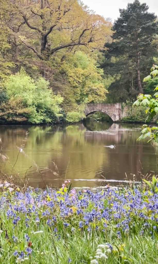 Hamptead - Londra’nın Yaşanılası Semtleri